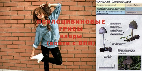 дмт Абинск