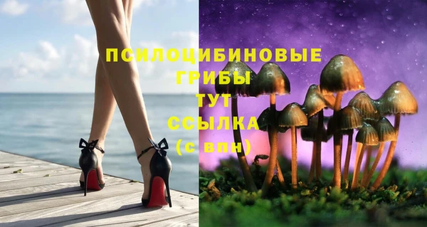 дмт Абинск