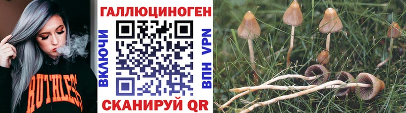 MEGA ONION  наркошоп  Зеленокумск  Галлюциногенные грибы мицелий 